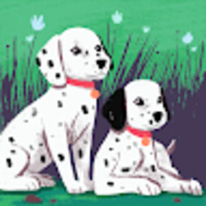 Meet your Posher, Shea